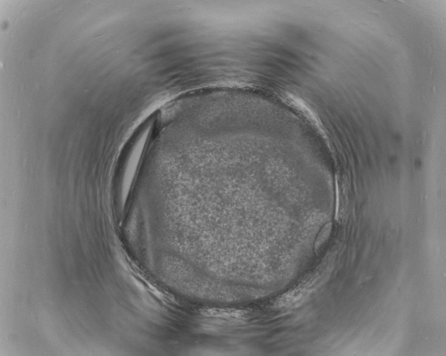 X0000088030435200706011353