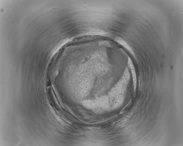 X0000088030436200706011353