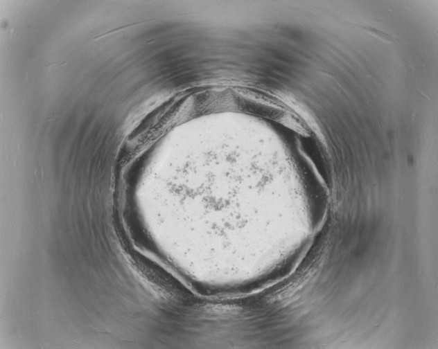 X0000088030437200706011353