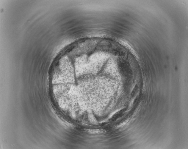 X0000088030439200706011353