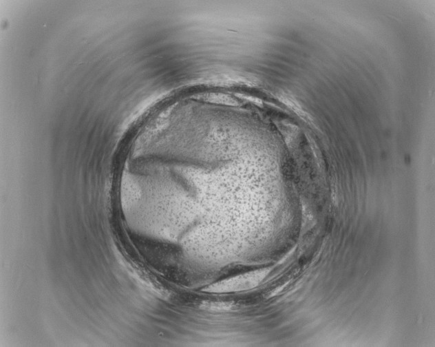 X0000088030440200706011353