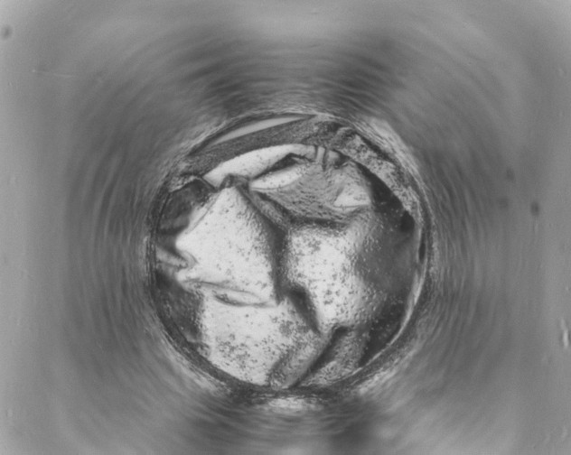 X0000088030441200706011353