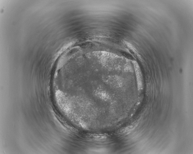 X0000088030443200706011353