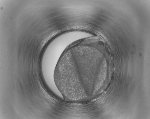 X0000088030444200706011353