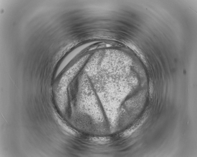 X0000088030445200706011353