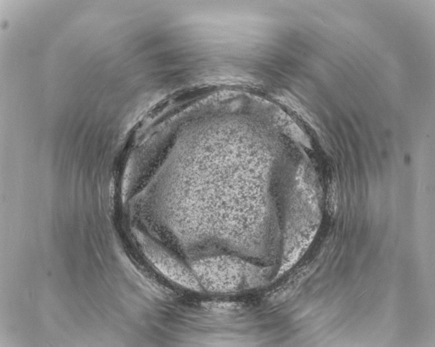 X0000088030448200706011354