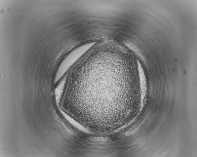 X0000088030449200706011354