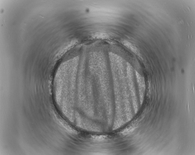 X0000088030450200706011354