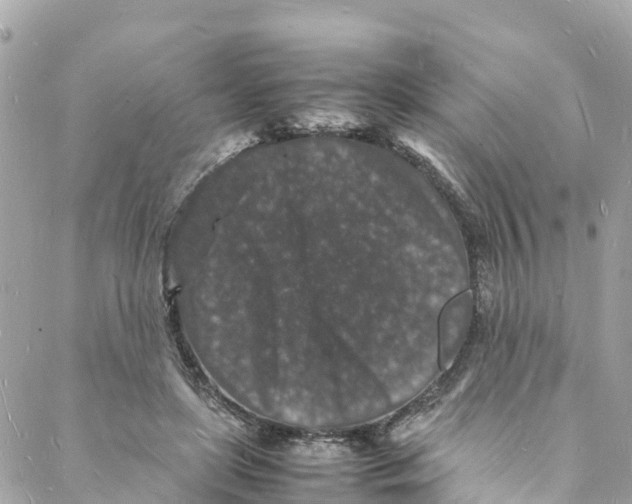 X0000088030451200706011354