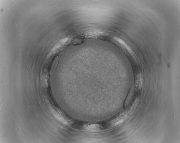 X0000088030452200706011354