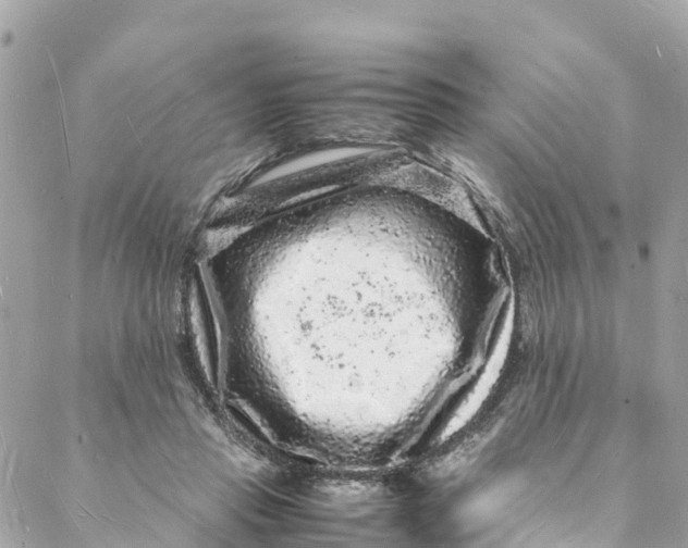 X0000088030453200706011354