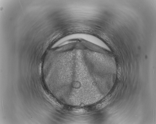 X0000088030454200706011354