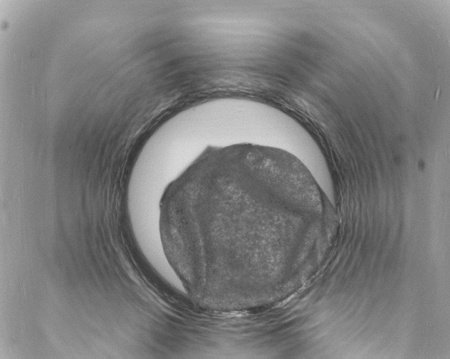 X0000088030456200706011354