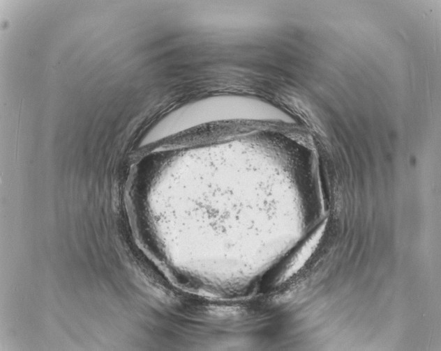 X0000088030457200706011354