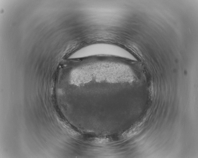 X0000088030458200706011354