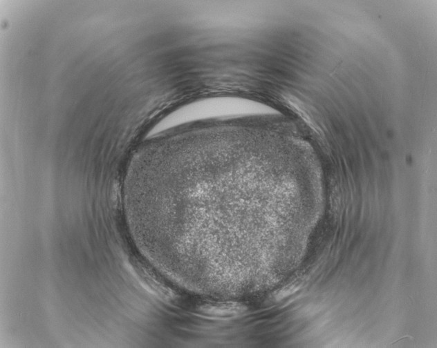 X0000088030459200706011354