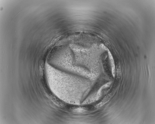 X0000088030460200706011354