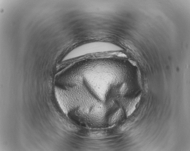 X0000088030461200706011354