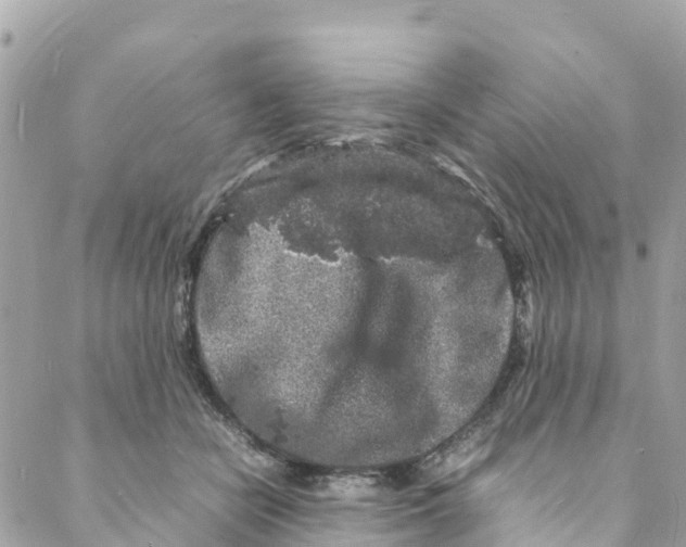 X0000088030462200706011354