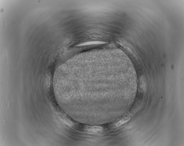 X0000088030463200706011354