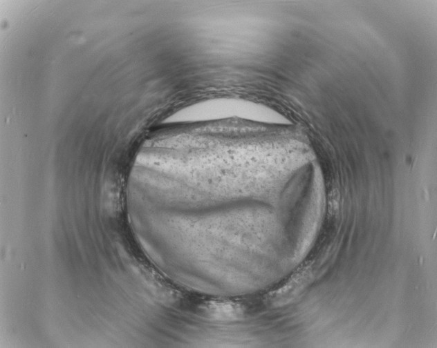 X0000088030464200706011354