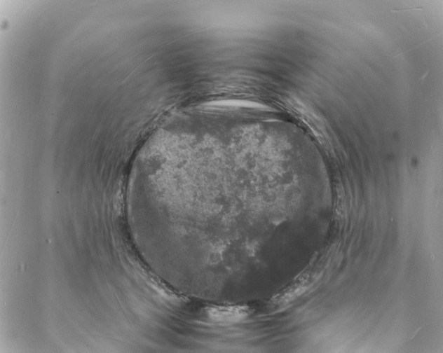 X0000088030465200706011354