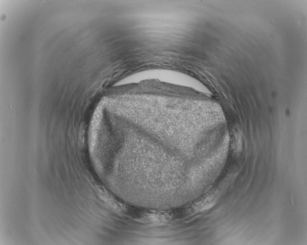 X0000088030466200706011354