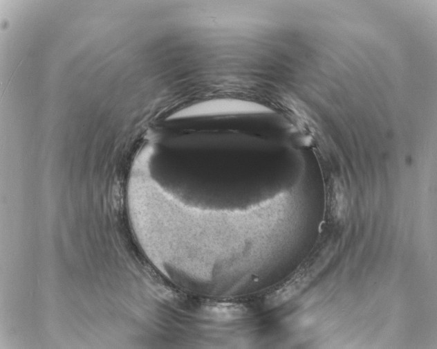 X0000088030467200706011354