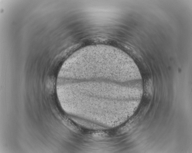 X0000088030468200706011354