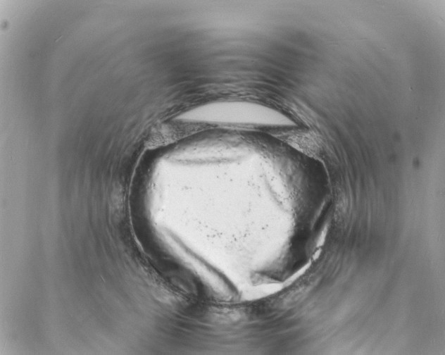 X0000088030469200706011354