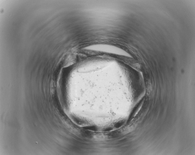 X0000088030470200706011354