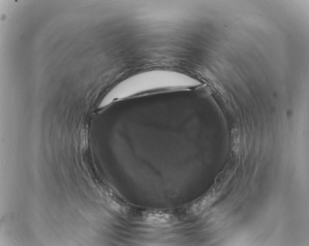 X0000088030471200706011354