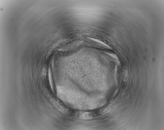 X0000088030472200706011354