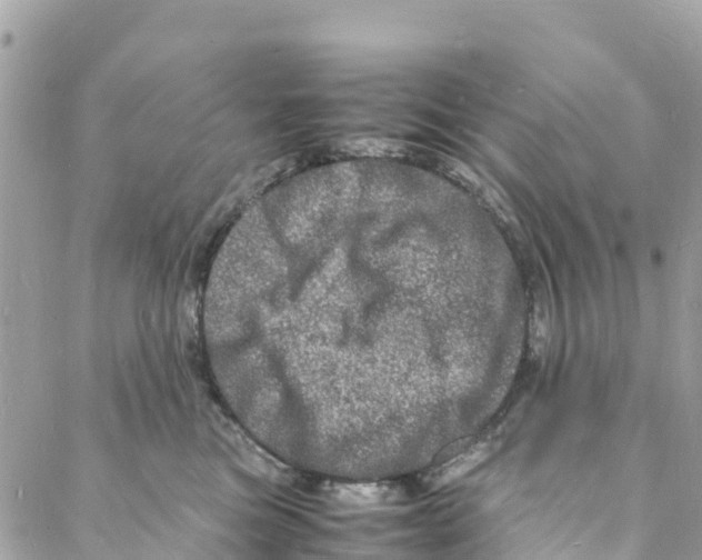 X0000088030473200706011354