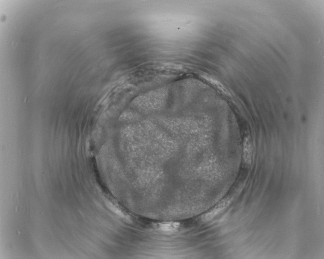 X0000088030474200706011354