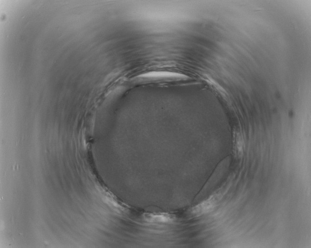 X0000088030475200706011354