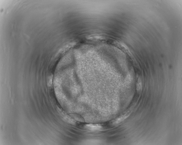 X0000088030477200706011354