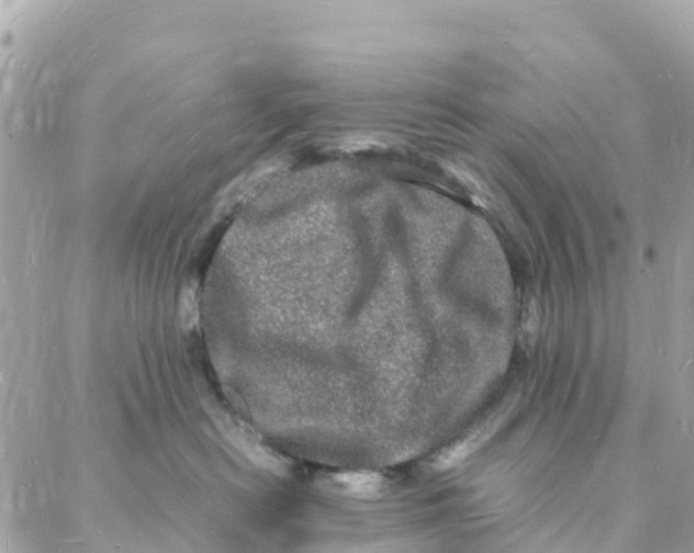 X0000088030478200706011354