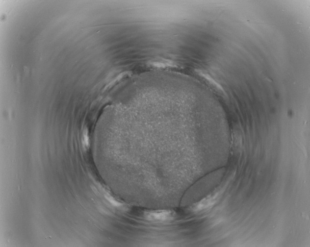 X0000088030479200706011354