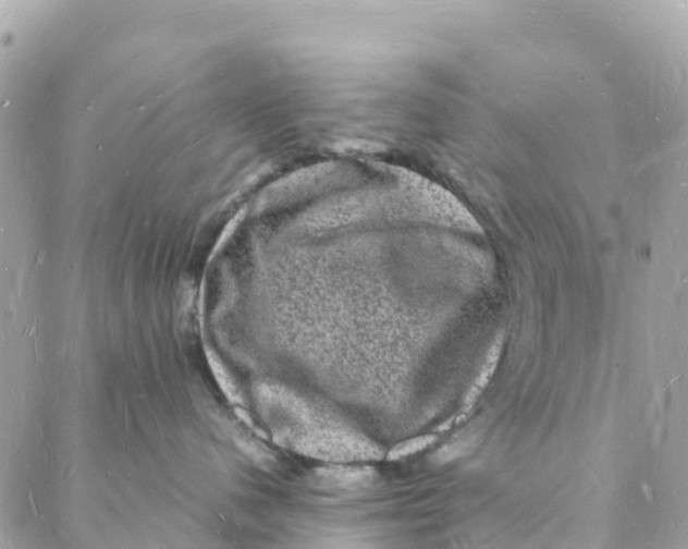 X0000088030480200706011354