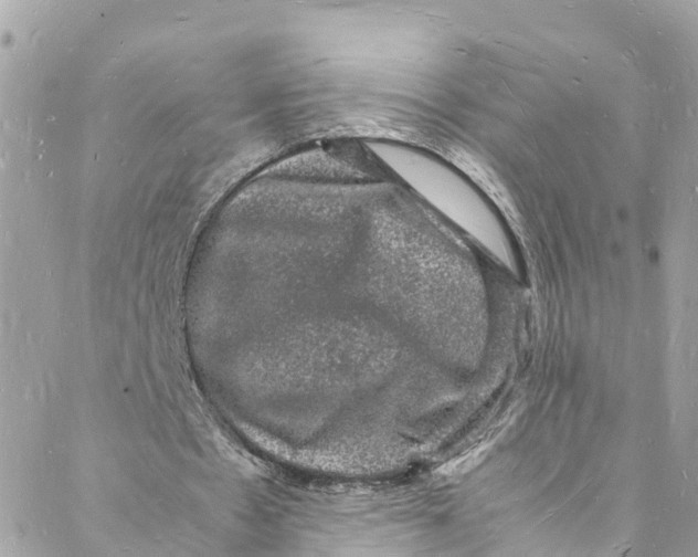 X0000088030481200706011353