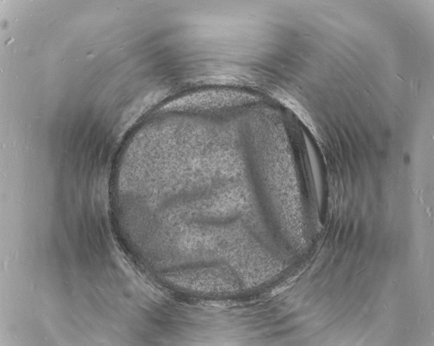 X0000088030482200706011353