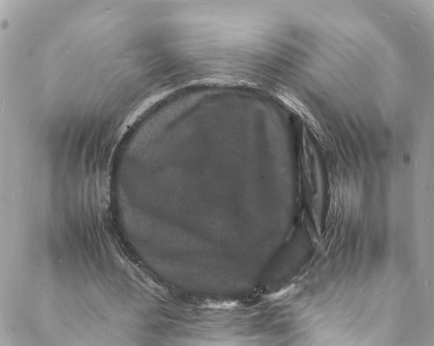 X0000088030484200706011353