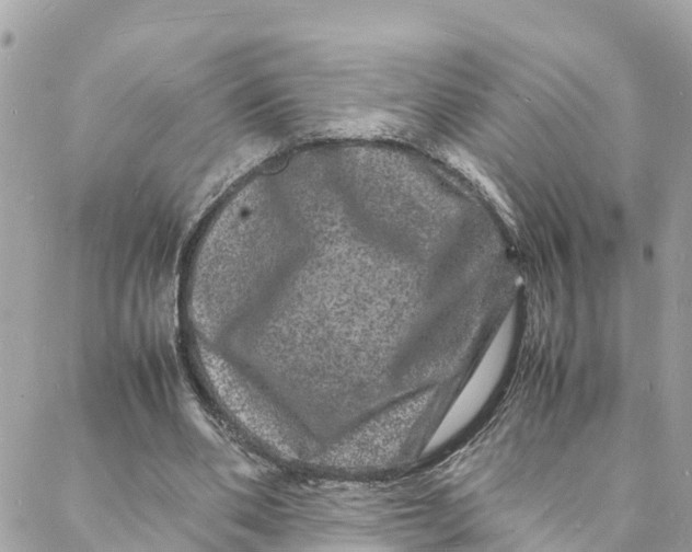 X0000088030486200706011353