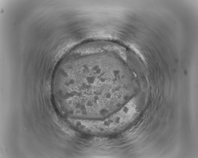 X0000088030487200706011353