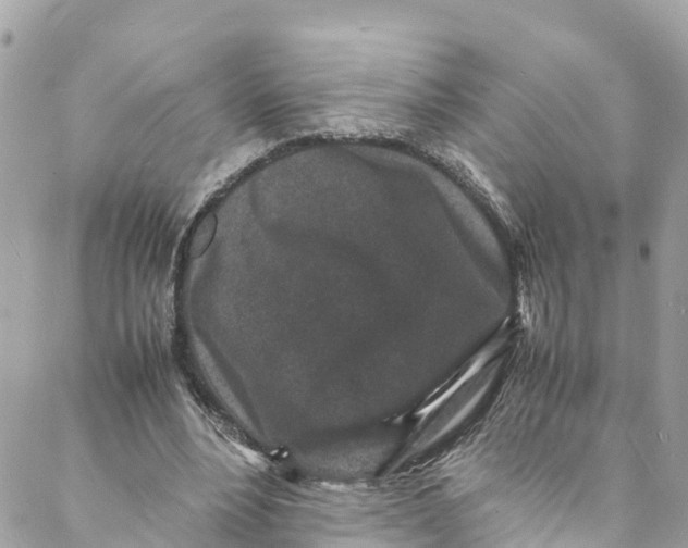 X0000088030488200706011353