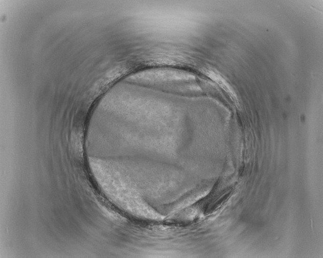 X0000088030489200706011353