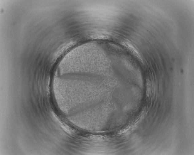 X0000088030490200706011353