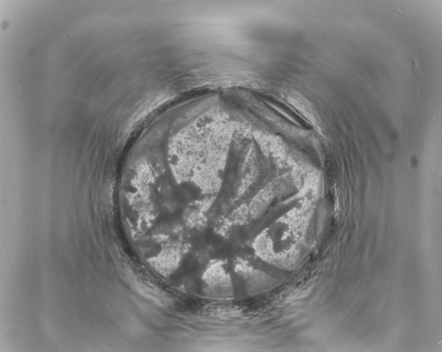 X0000088030491200706011353