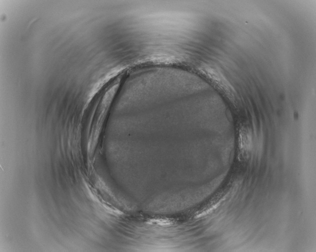 X0000088030492200706011353